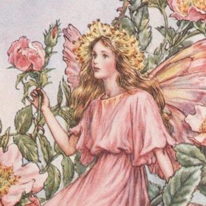 Meet your Posher, Willow